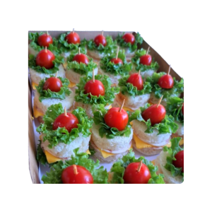 کاناپه کلاسیک پذیرایی